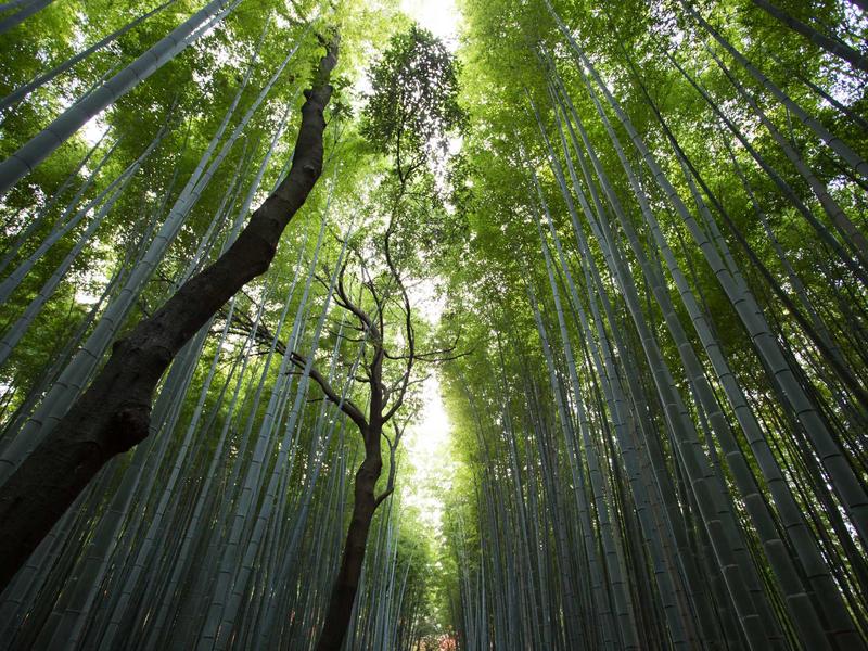 数探鹰眼<br>全网信源聚合与清洗